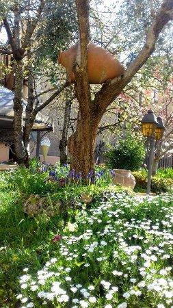 Pizzeria Gelateria Giacomelli